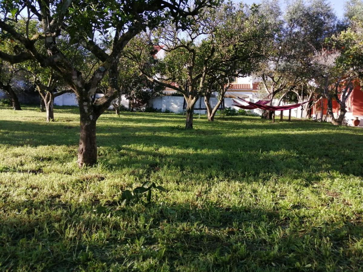 Casa Das Laranjeiras E Parque Infantil Азейтан Екстер'єр фото