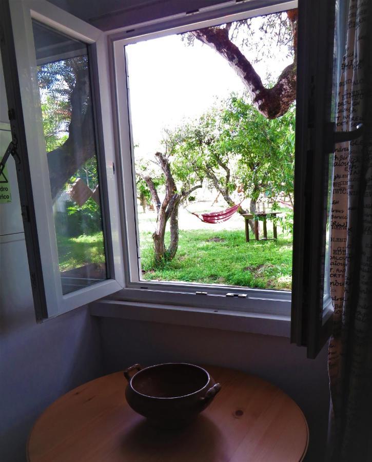 Casa Das Laranjeiras E Parque Infantil Азейтан Екстер'єр фото